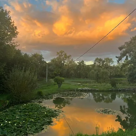 アパート Le Tarin Des Aulnes - Grand Nenuphar *