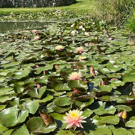 アパート Le Tarin Des Aulnes - Grand Nenuphar *