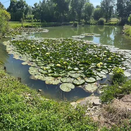 アパート Le Tarin Des Aulnes - Grand Nenuphar レクトゥール