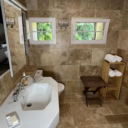 Le Tarin Des Aulnes - Grand Nenuphar アパート レクトゥール