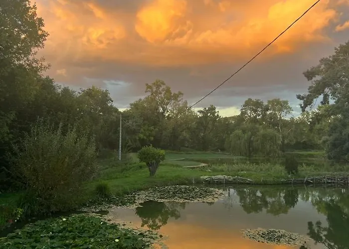 Lägenhet Le Tarin Des Aulnes - Grand Nenuphar *