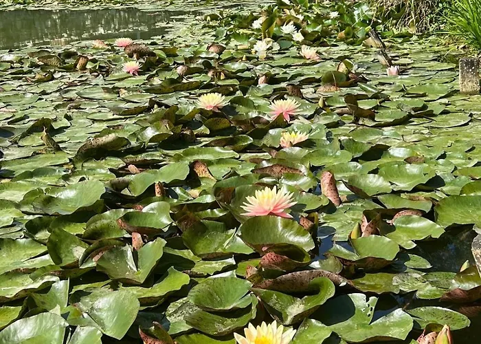 Lägenhet Le Tarin Des Aulnes - Grand Nenuphar *
