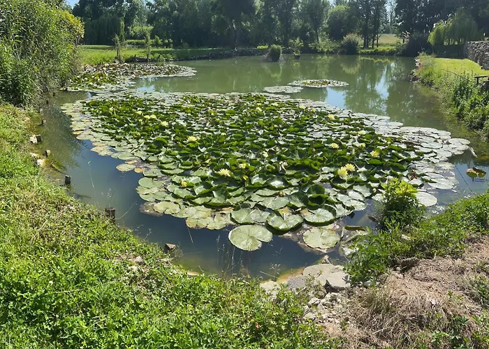 Lägenhet Le Tarin Des Aulnes - Grand Nenuphar Lectoure