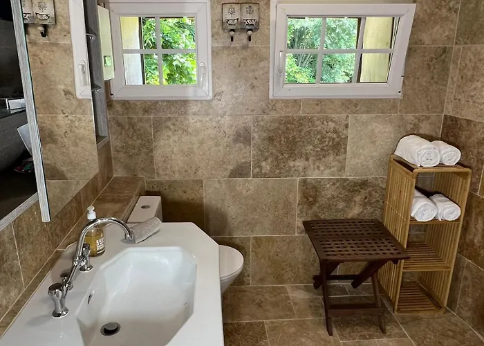 Le Tarin Des Aulnes - Grand Nenuphar Lägenhet Lectoure